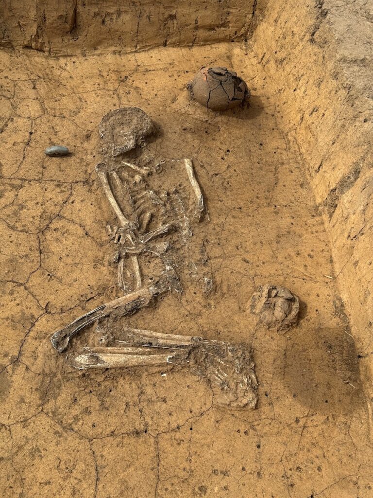 Corded Ware culture grave of a man buried with a stone ax and pottery, Krauschwitz, Germany