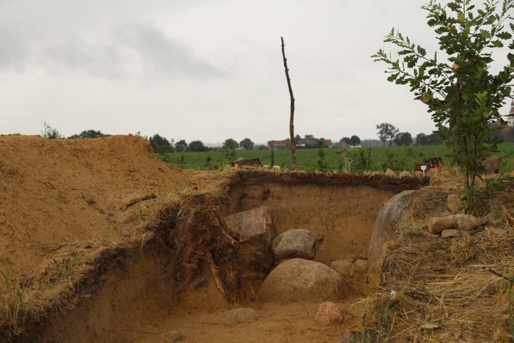 Excavation of a tomb enclosure in Chlapowski Landscape Park, Wyskoc, Poland