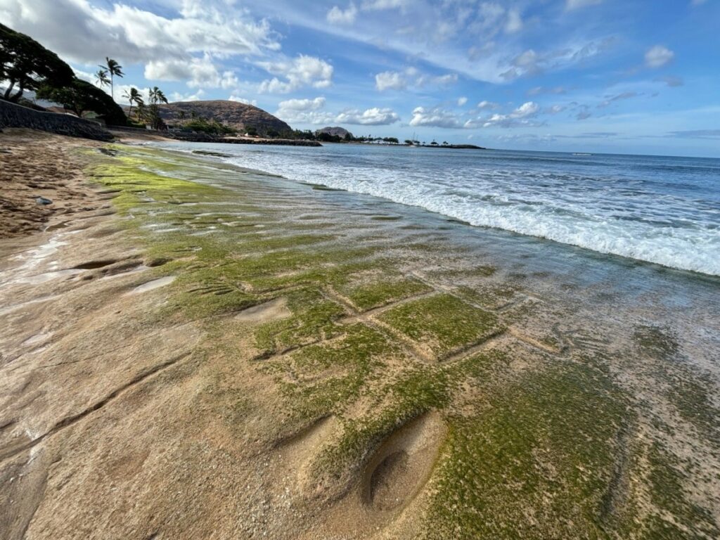 Shifting Sands Reveal Ancient Hawaiian Petroglyphs