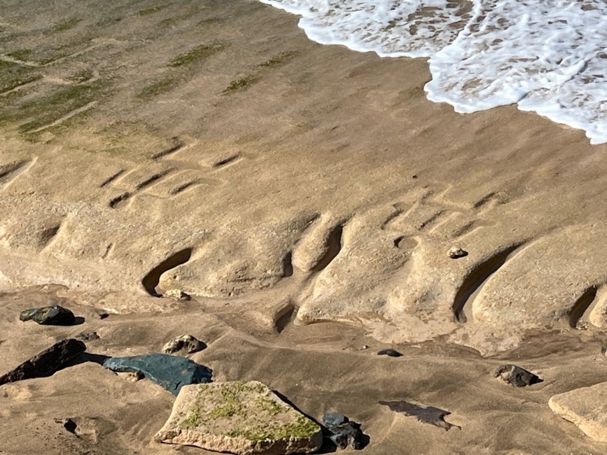 Detail of petroglyphs carved into sandstone at U.S. Army Garrison Hawaii's Pililaau Army Recreation Center, Waianae, Hawaii
