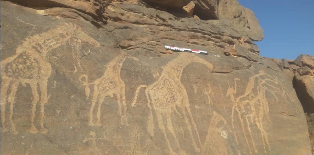 Rock art panel in the Al-Hasawna Mountains, Sabha, Libya