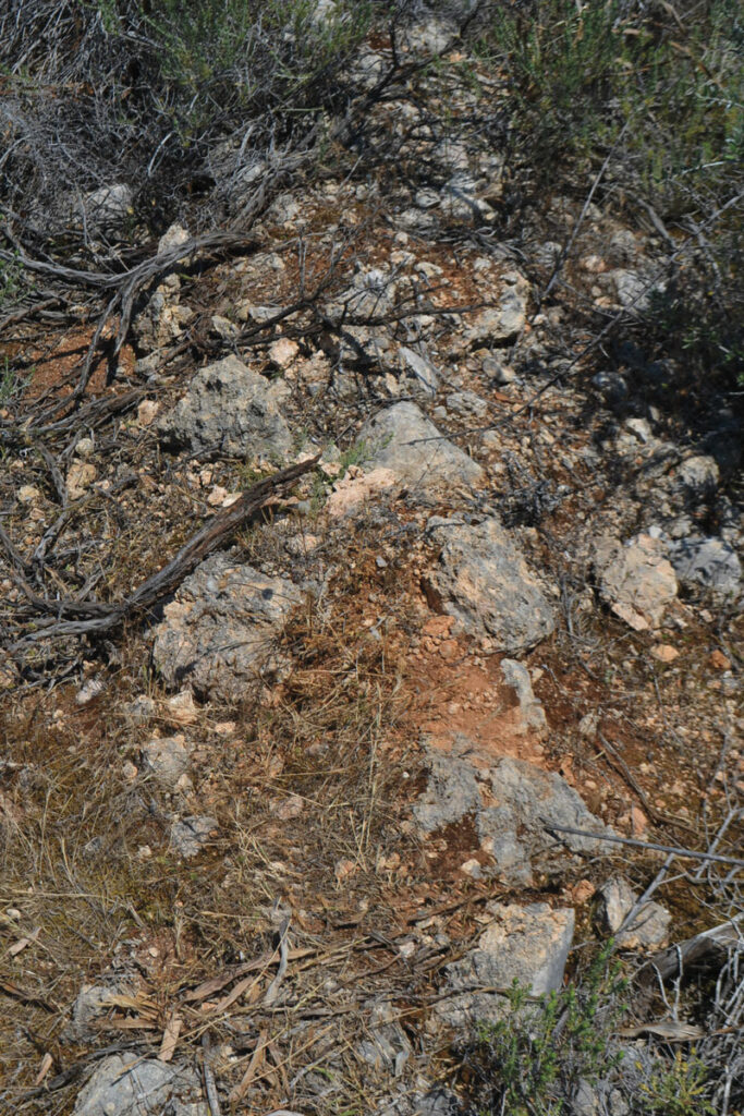 Ruins of a wall on Botizia ridge