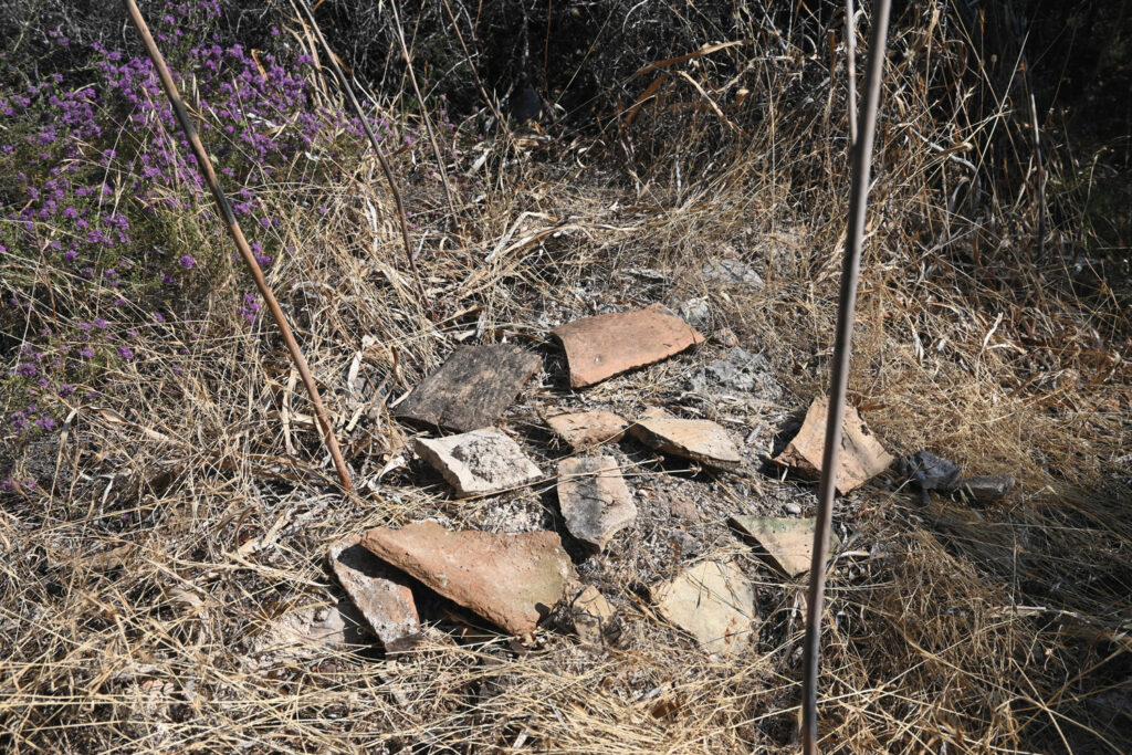 Pottery, tiles, and bricks