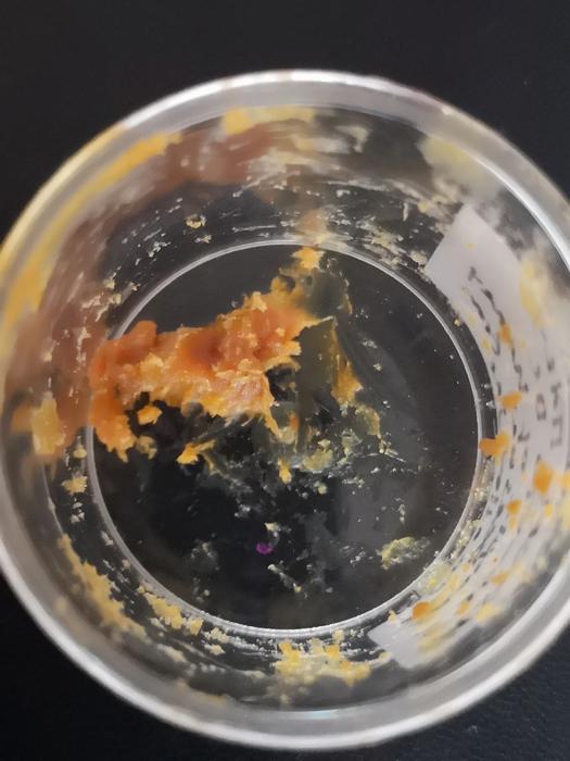 Substance that researchers believe is ancient honey