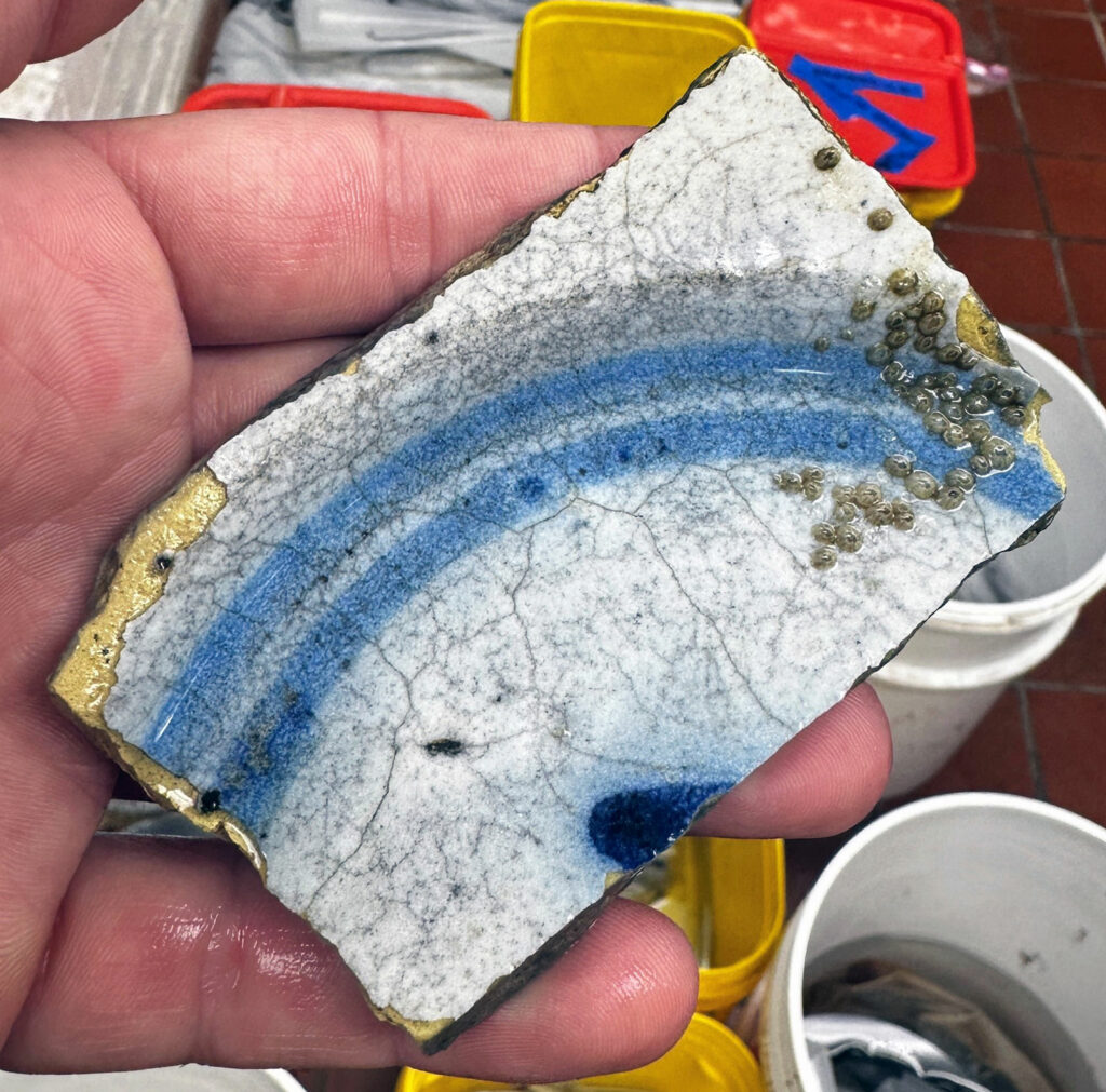 Spanish majolica ceramic sherd found among shipwreck timbers on the beach at Brunswick Town