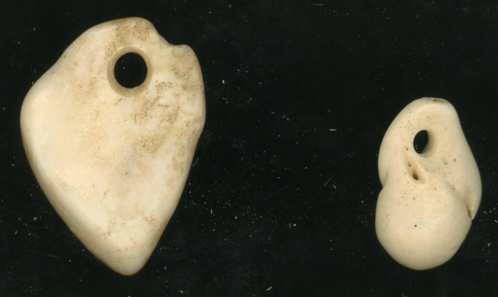 Elk ivory pendants recovered during excavations at the River Bend site