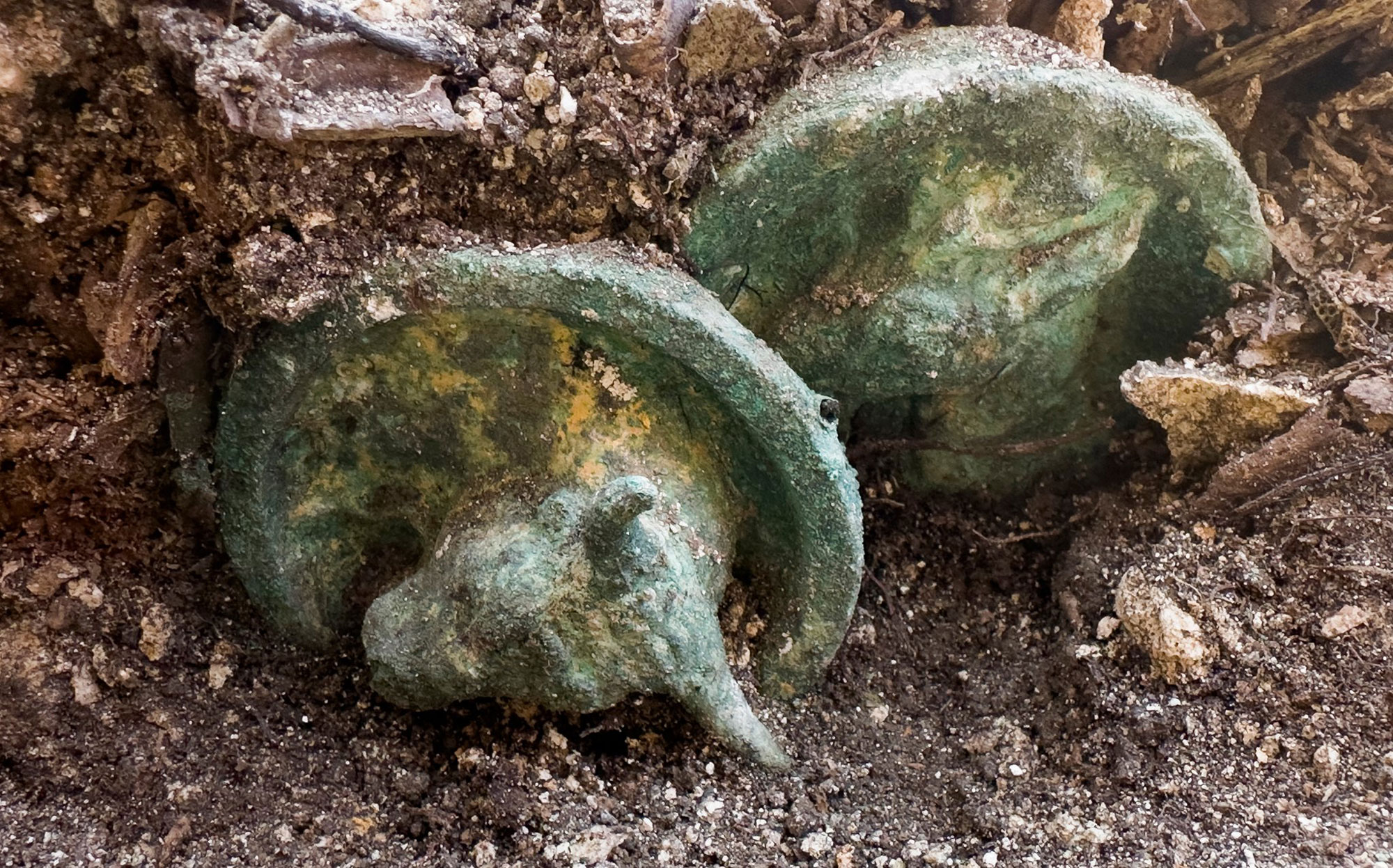 Bronze fittings with animal heads, Kapitan Petko Voivoda, Bulgaria