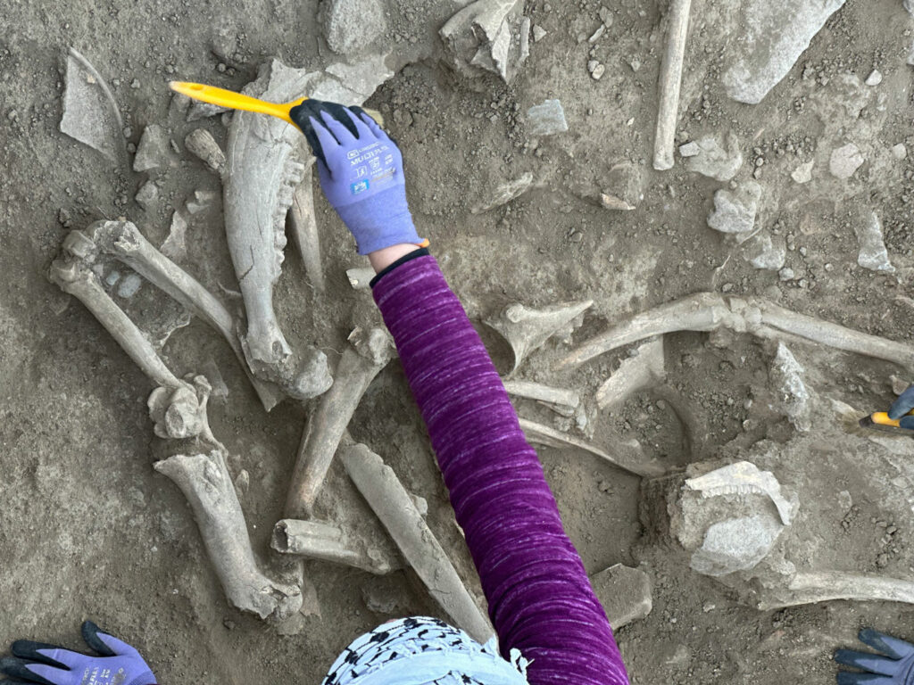 Remains of Young Children Hint at Hittite Rituals
