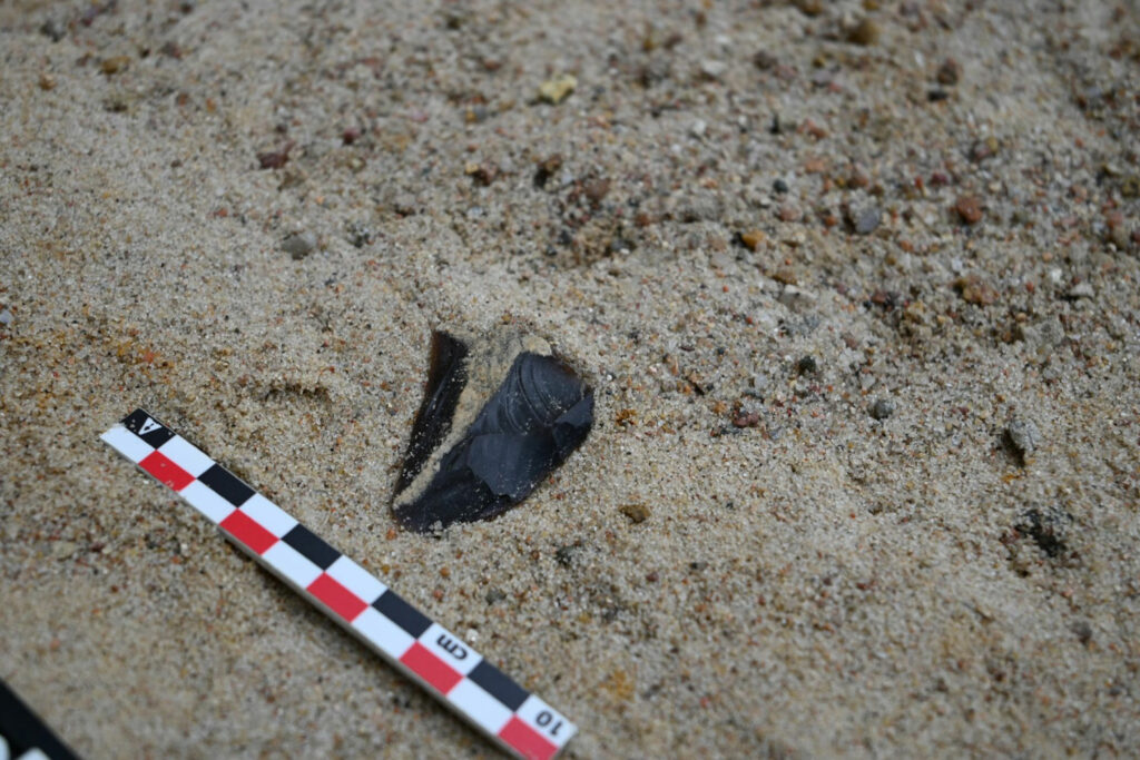 Neanderthal tool, Zwolen, Poland
