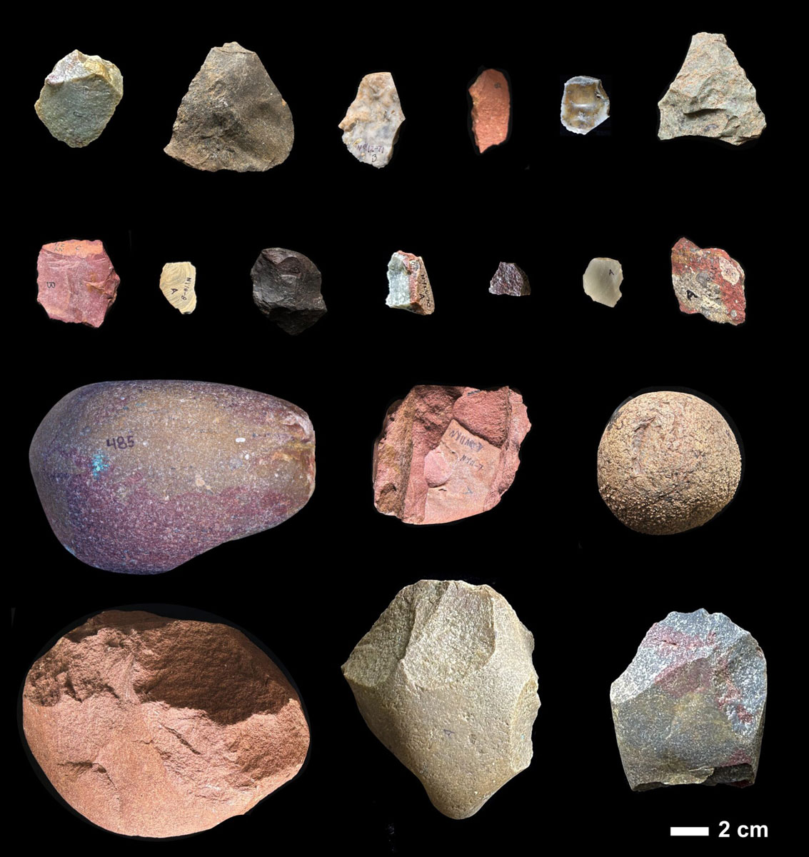 E.M Finestone, J.S. Oliver, Homa Peninsula Paleoanthropology Project