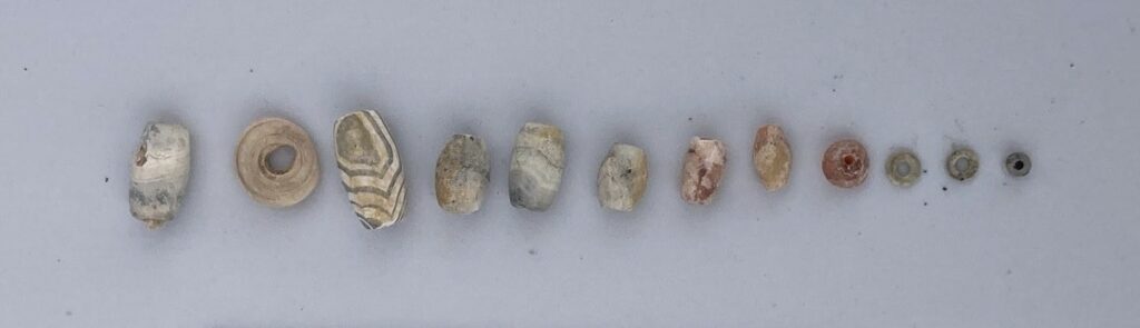 Shell beads