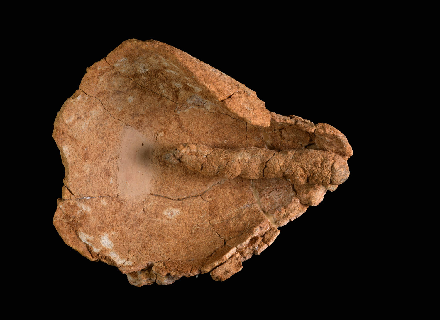 Dafna Gazit, Israel Antiquities Authority