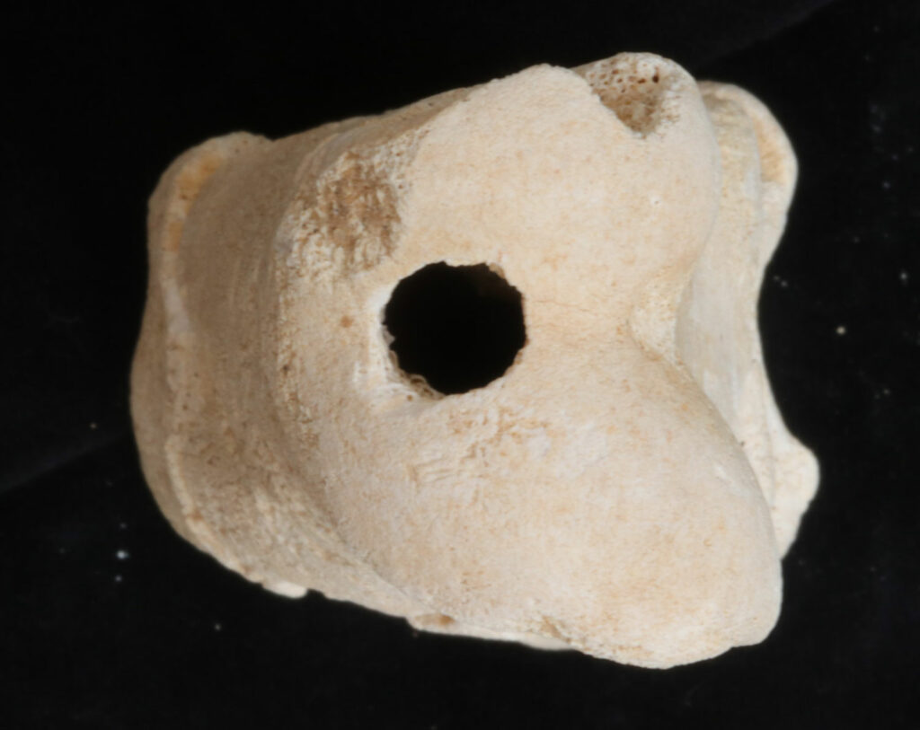Egyptian Police Officer's Bone Whistle Found