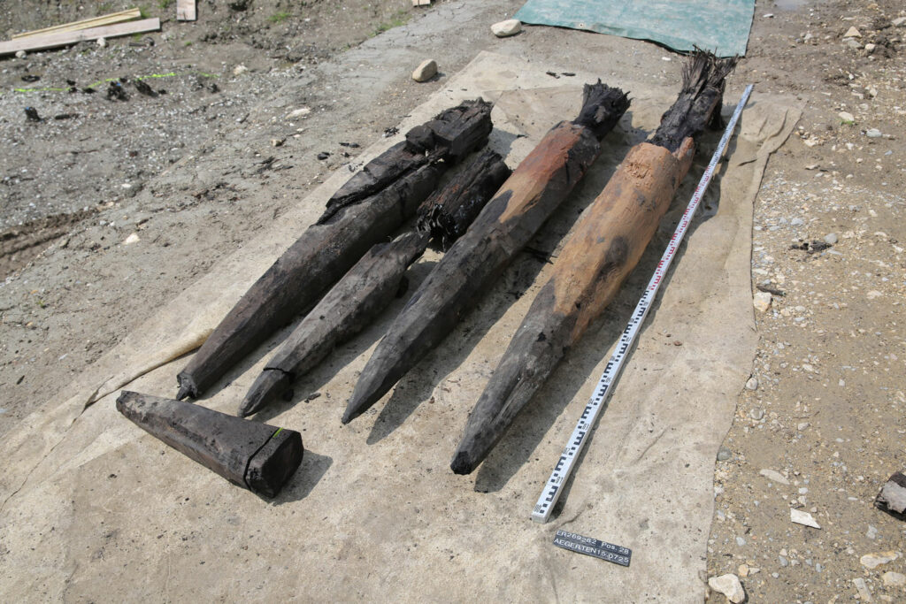 Preserved tips of oak posts, Aegerten, Switzerland