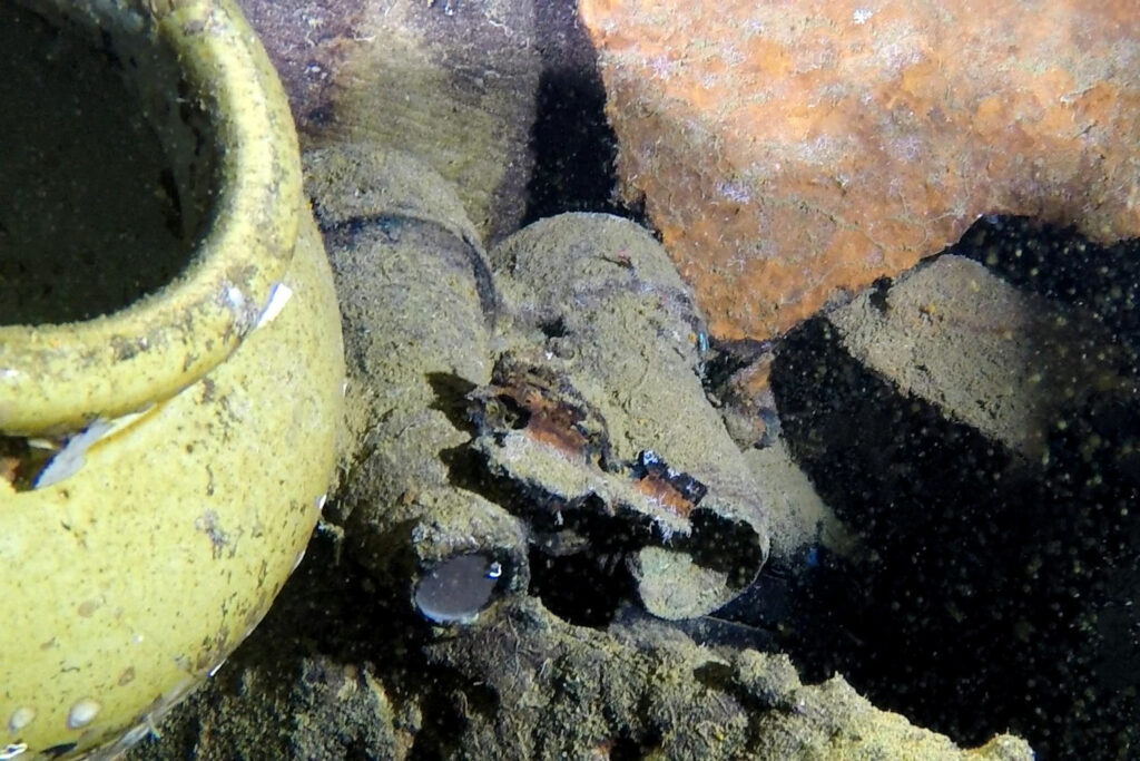 Binoculars found in the wreckage of HMHS Britannic