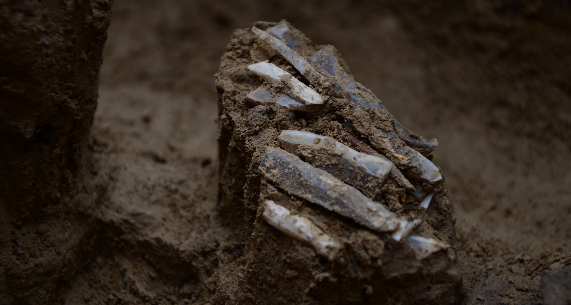 Hunter-gatherer toolkit, Milovice IV, Czech Republic