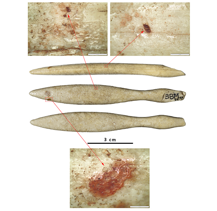 Hippopotamus ivory object, with arrows pointing to spots of red pigment