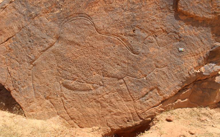 Outline of a camel etched into stone near a seasonal water source