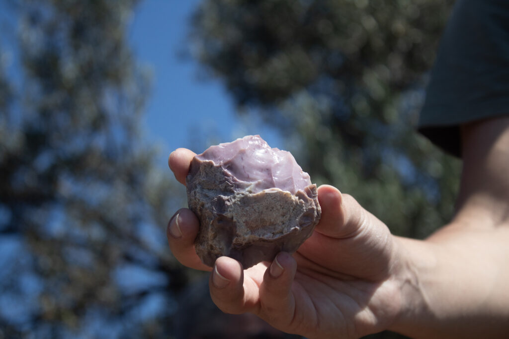 Paleolithic tool