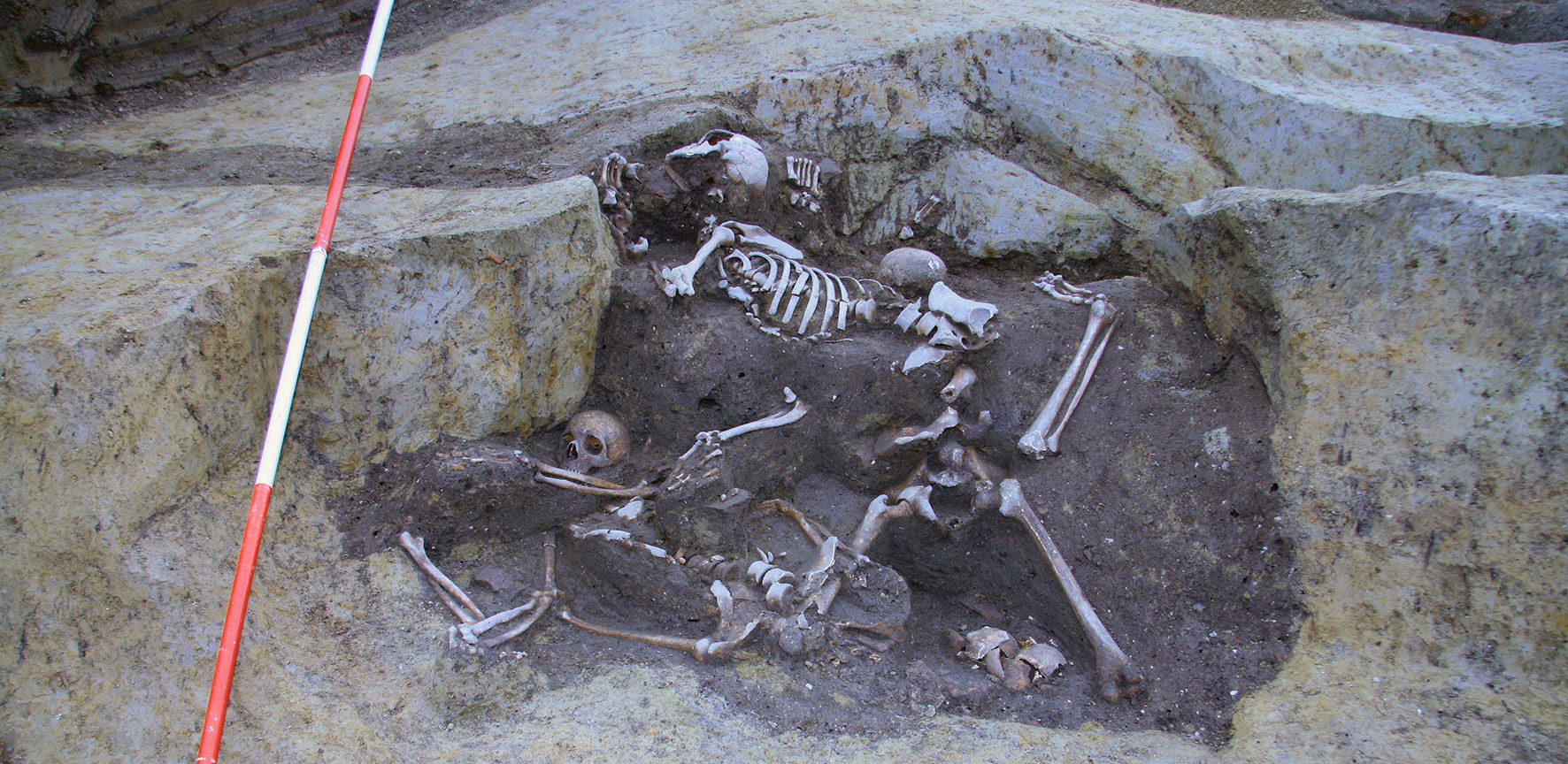 Mario Novak et al., PLOS One