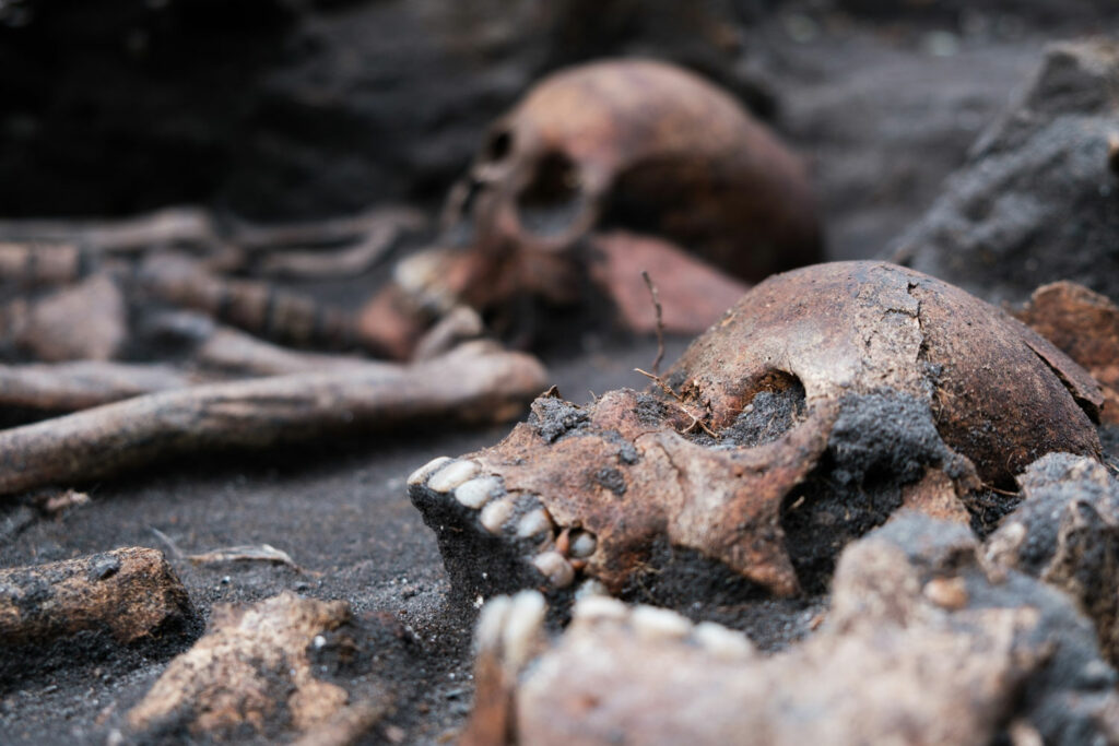 Skeletal remains in cemetery associated with the former St. Oluf's Church, Aarhus, Denmark