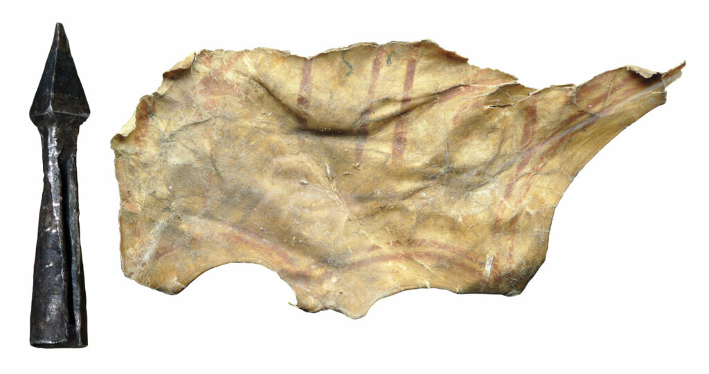 Crossbow bolt (left) and sheep leather (right)