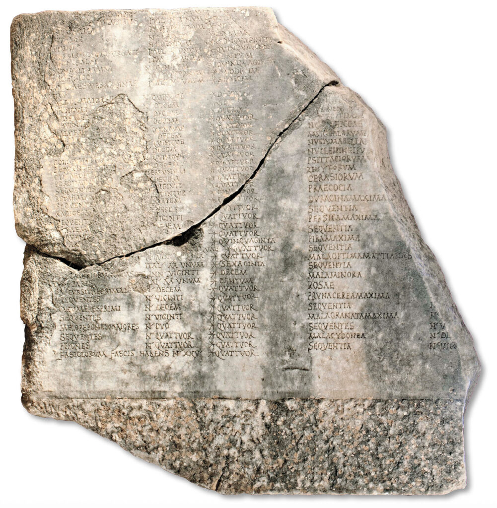 Two fragments of the Edict of Maximum Prices