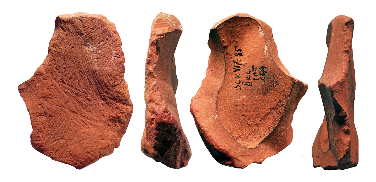 D'Errico et al. 2025, Science Advances