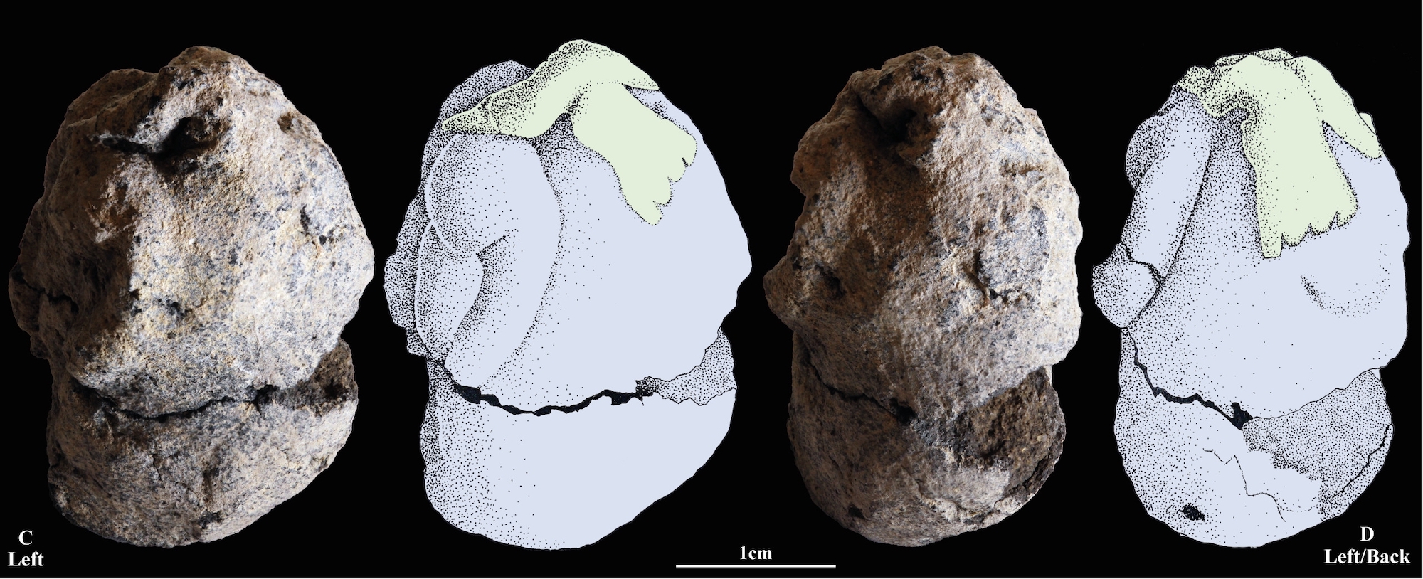 Different views of Natufian clay figurine