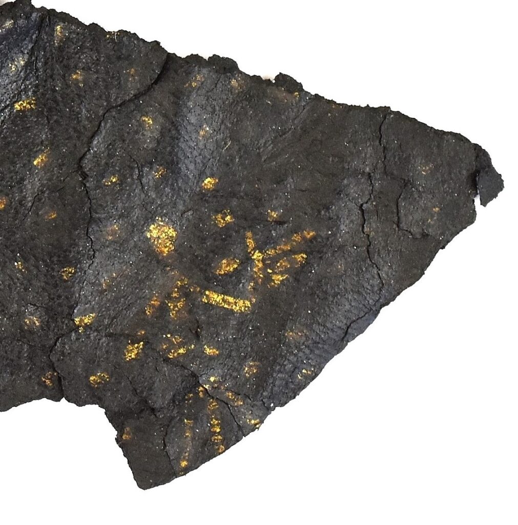 Czech Town’s Medieval Past Revealed