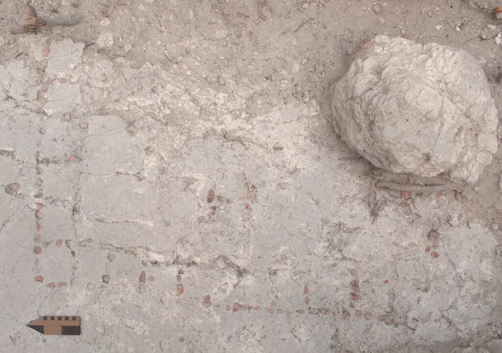 Mosaic Game Board Found at Maya Site of Naachtun