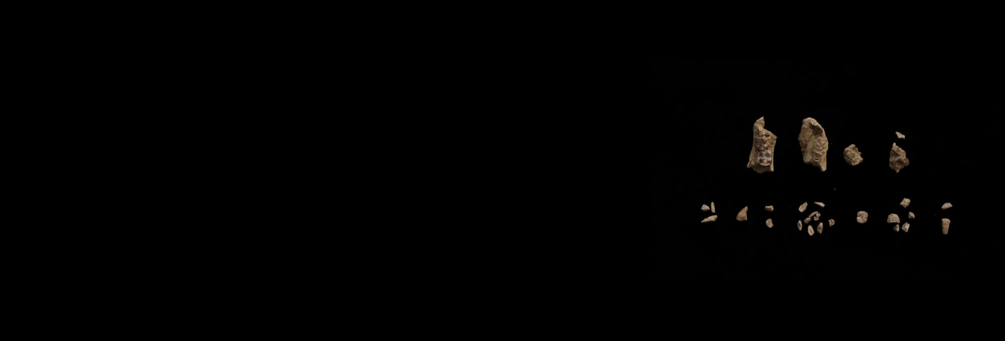 Hominin bone fragments