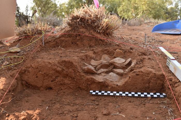 Stone Tool Cache Uncovered in Australia