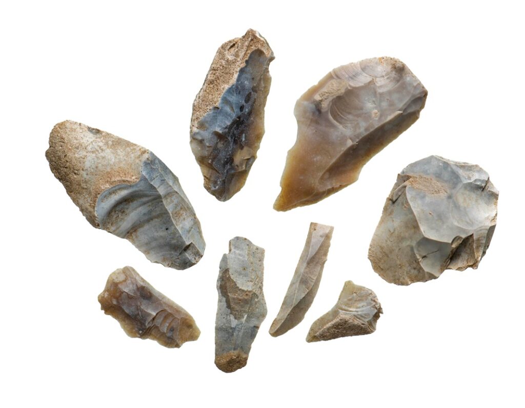 Prehistoric flint flakes