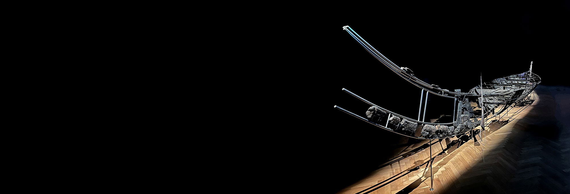 Photo by Boel Bengtsson/Fauvelle et al., 2025, PLOS One