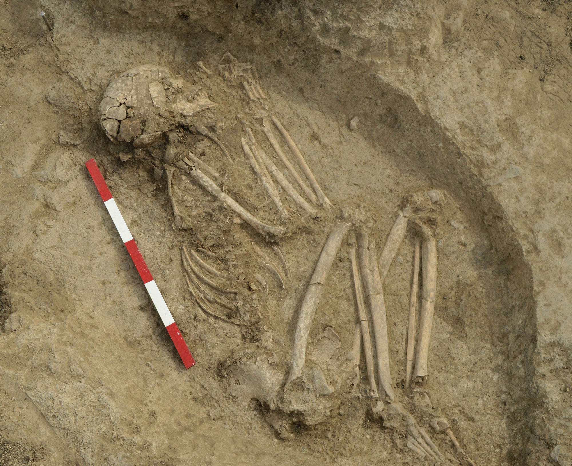 Excavated burial of a teenaged boy in the Kozareva Mogila necropolis, Bulgaria
