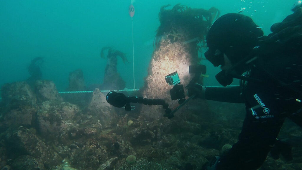 A diver explores an area near vertical monoliths at the top of a wall off the coast of Brittany, France