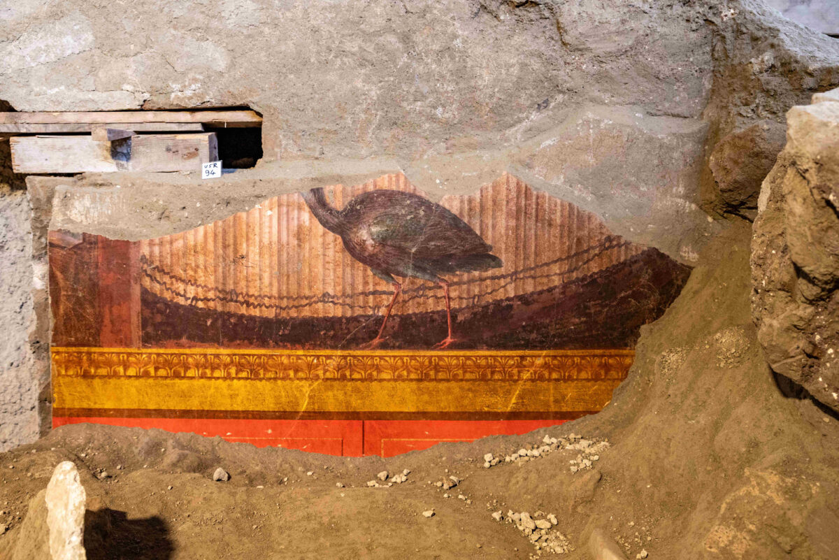 Fresco of a peahen in the Villa of Poppaea, Oplontis, Italy