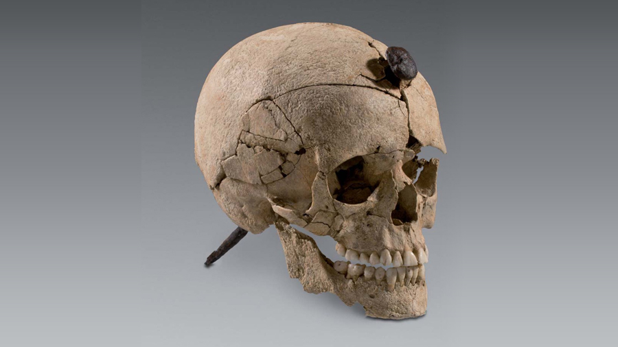 Skull pierced by a nail found at Ullastret, Spain