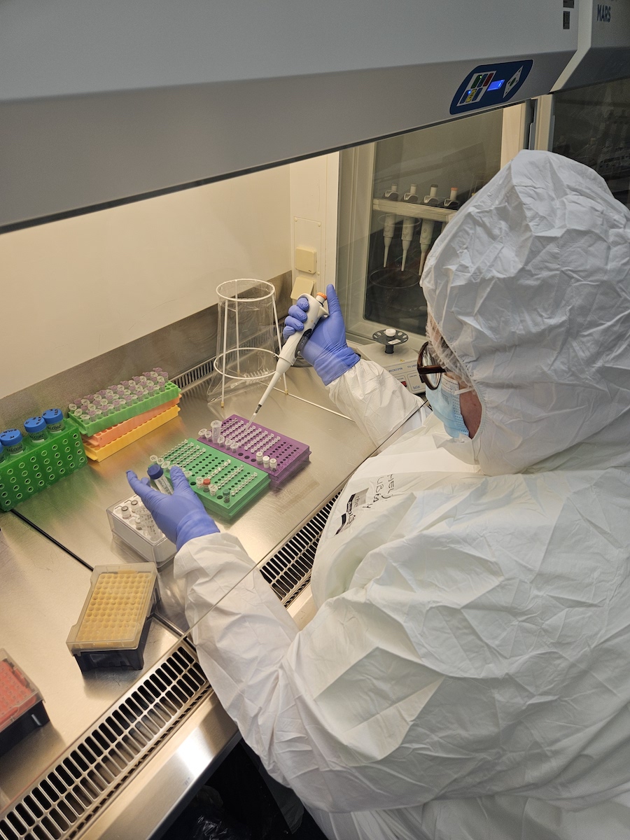 Common Childhood Virus Detected in Iron Age Remains