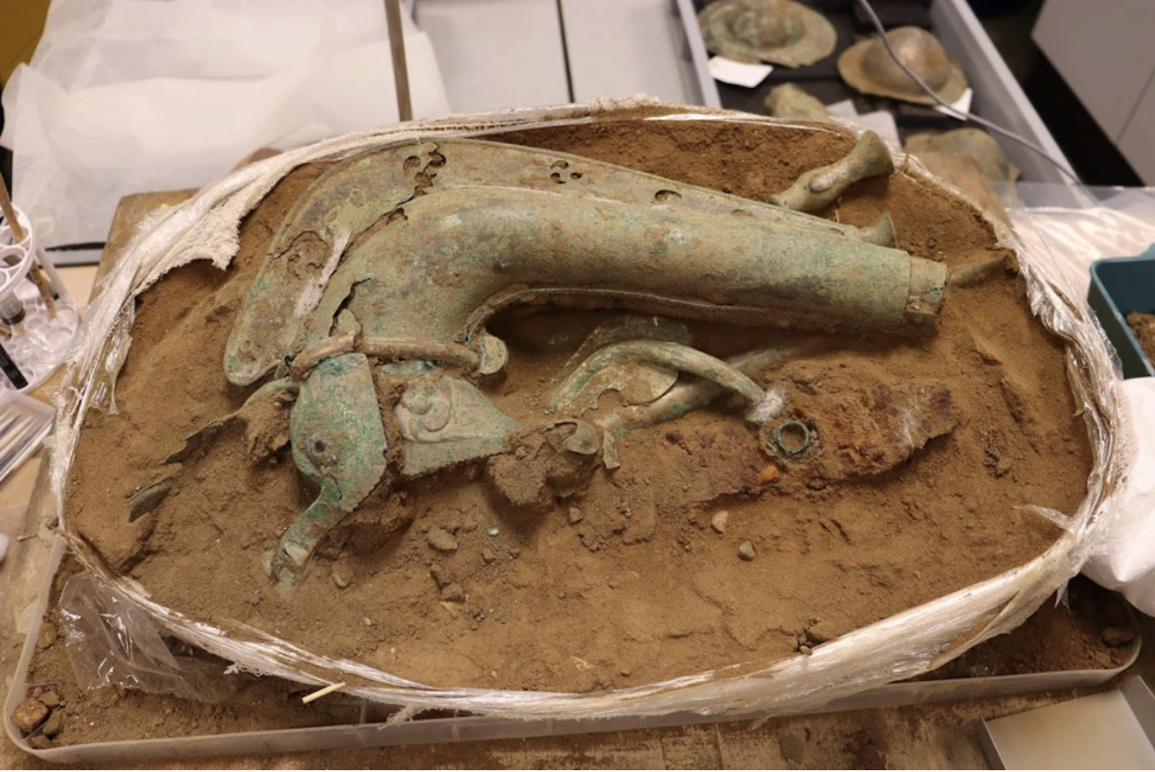 Carnyx in the excavated block with objects from an Iron Age hoard