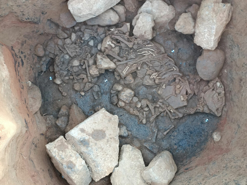 Equid skeleton at the bottom of a pit, Rafina, Greece