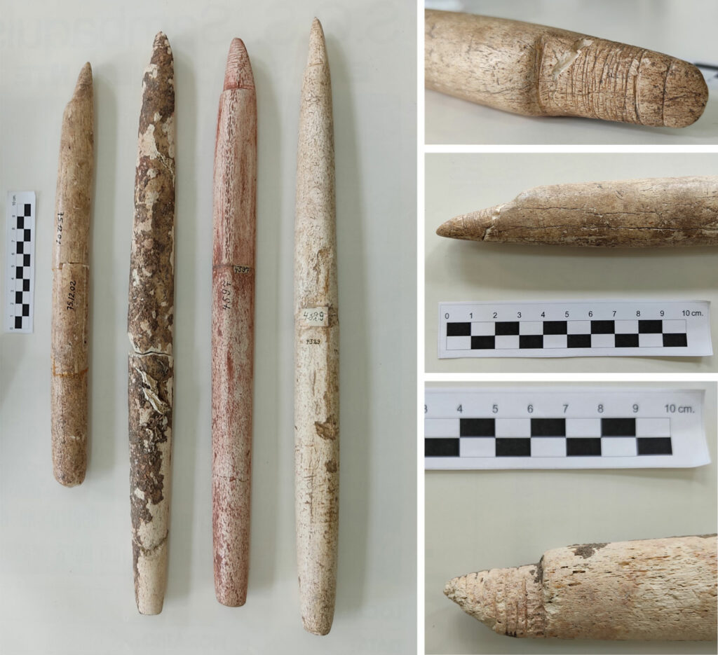 Whalebone harpoon shafts