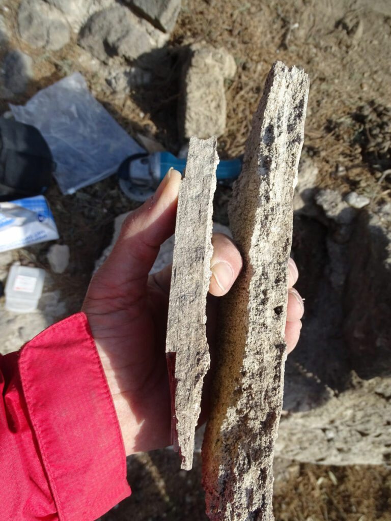 Carbonate samples from the so-called Republican Baths in Pompeii