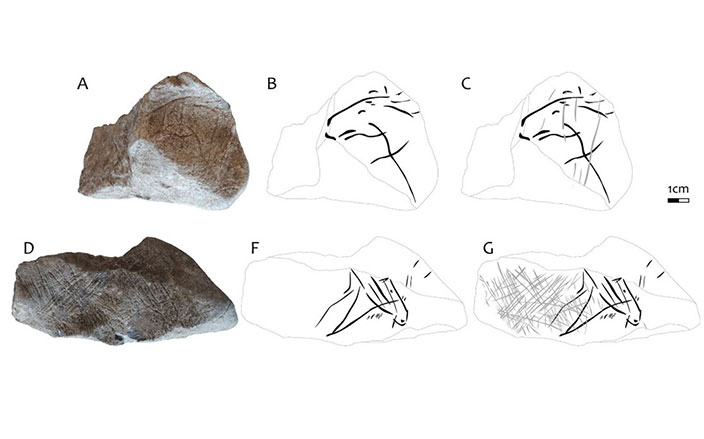 Limestone block with incised lines (left) and drawing of horse motifs on the block (right)