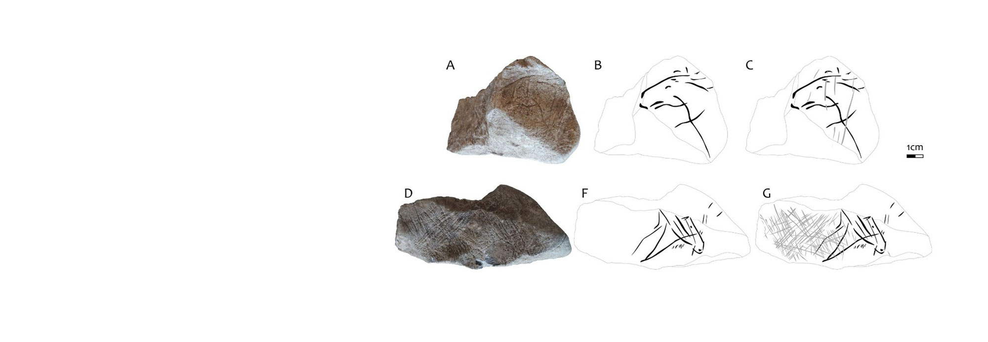Limestone block with incised lines (left) and drawing of horse motifs on the block (right)