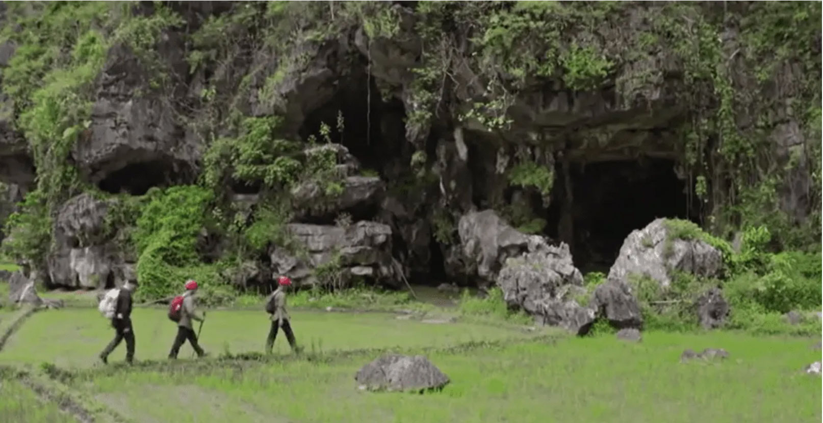 Cave entrance on the satellite island of Muna, Sulawesi, Indonesia