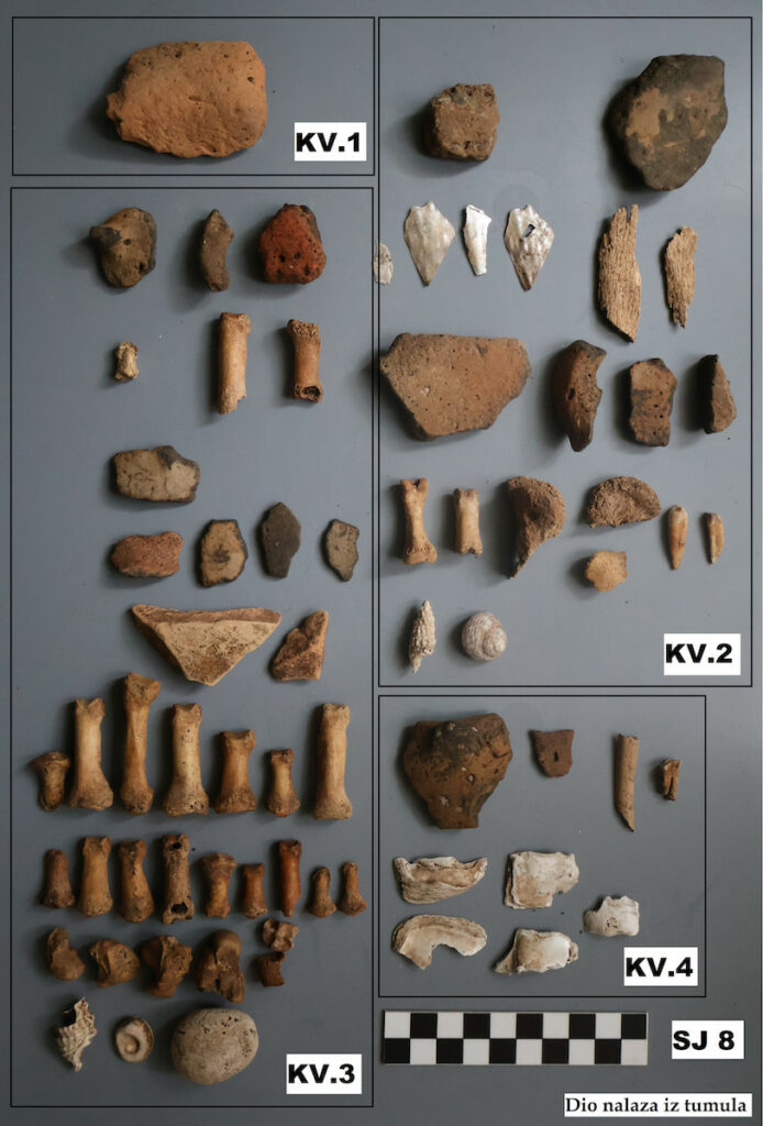 Human bone fragments recovered from the tumulus
