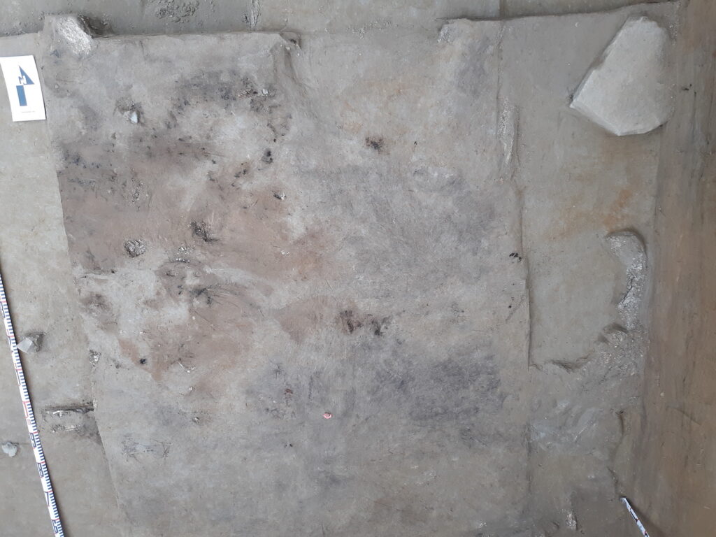 Archaeologists discovered ivory and quartz fragments in association with a flat anvil stone used to fracture mammoth ivory into smaller more workable pieces at the Holzman site in 2019. Also pictured are the burned earth and bird bones of a campfire dating to 13,700 years ago.