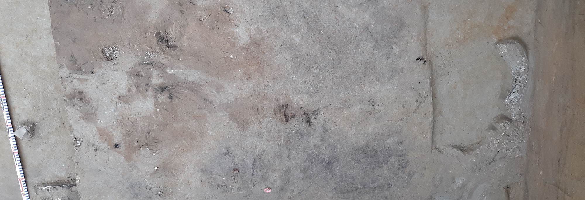 Archaeologists discovered ivory and quartz fragments in association with a flat anvil stone used to fracture mammoth ivory into smaller more workable pieces at the Holzman site in 2019. Also pictured are the burned earth and bird bones of a campfire dating to 13,700 years ago.